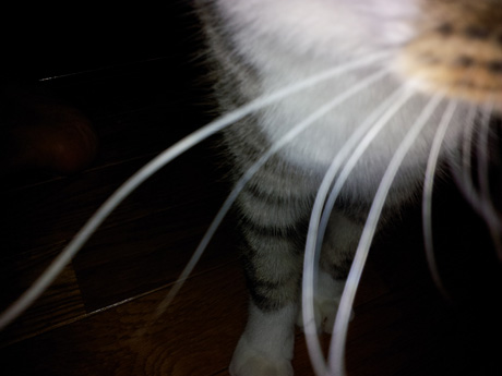 20120902_212915.jpg