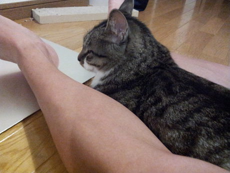 20120902_212958.jpg