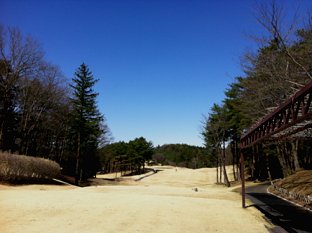 1303242.jpg