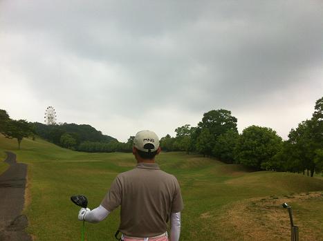 1306012.jpg