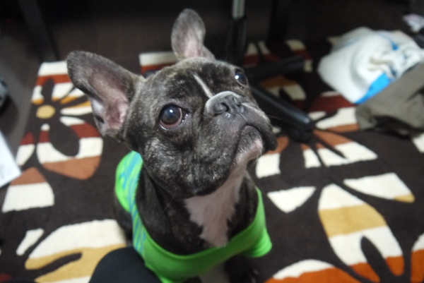 20130308_01.jpg