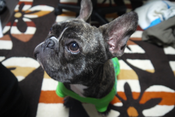 20130308_02.jpg