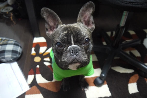 20130308_04.jpg