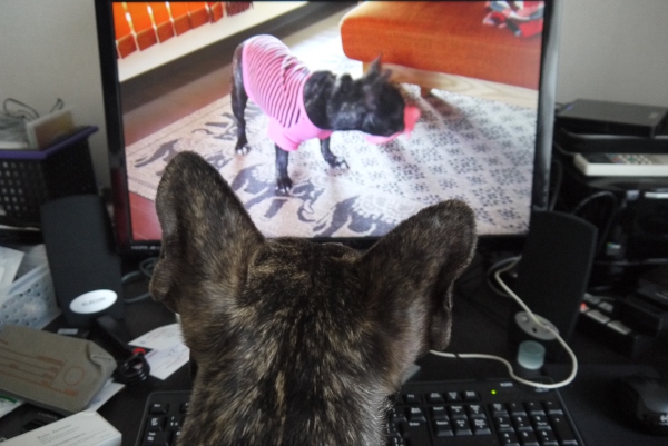動画確認中