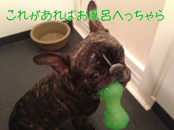 ふろ1
