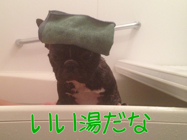 ふろ4