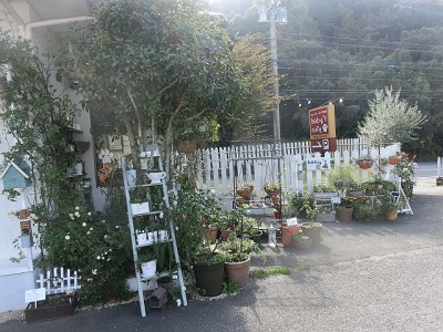 CIMG0004_20141117100319ce3.jpg