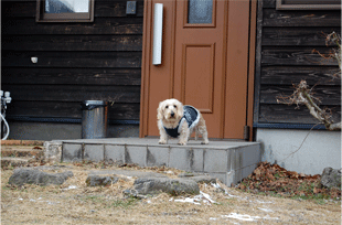 DSC_0230.gif