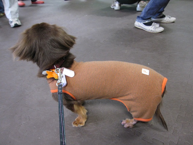 2012102902.jpg