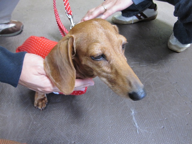 2012102904.jpg