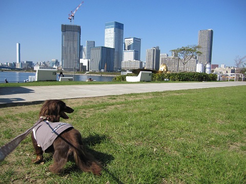 2012102906.jpg