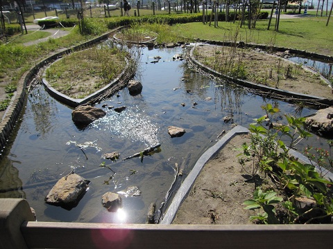 2012102907.jpg