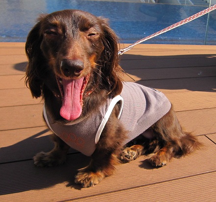 2012102909.jpg