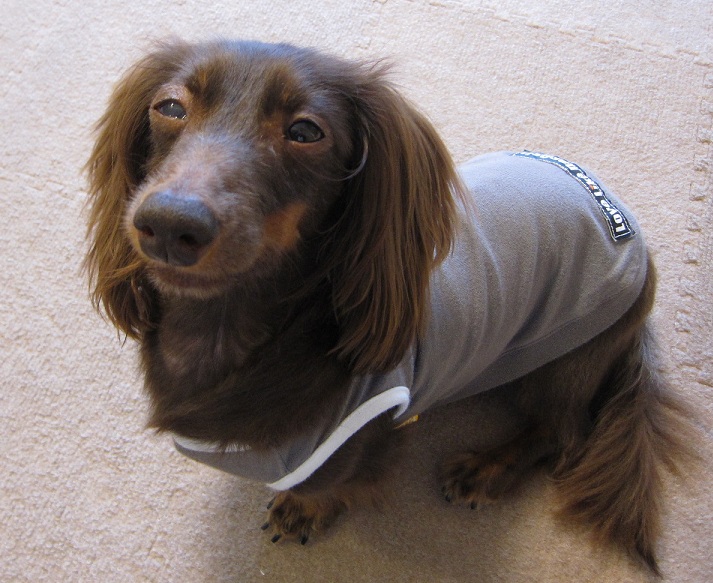 2012110602.jpg