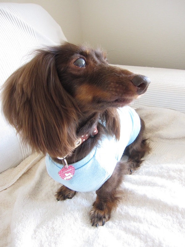 2012111002.jpg