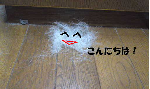 抜け毛