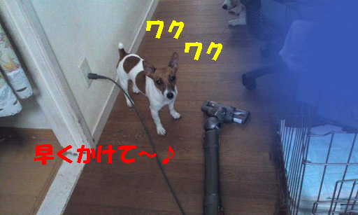 リン掃除機3