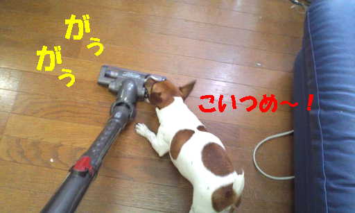 リン掃除機2