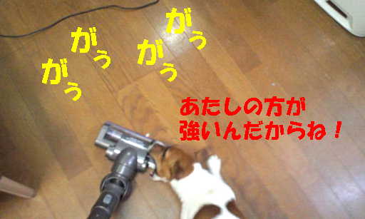 リン掃除機6