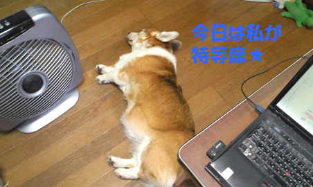 ぺこ