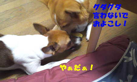 マヤリン2