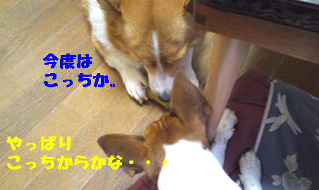マヤリン5
