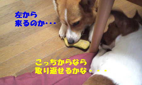 マヤリン4