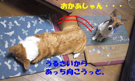マヤリン6