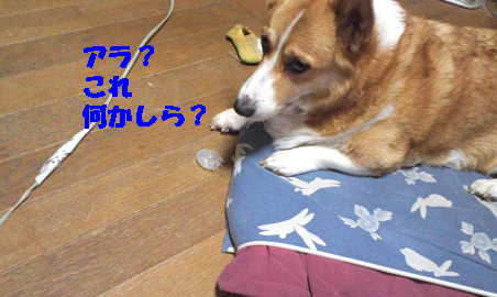 マヤリン7