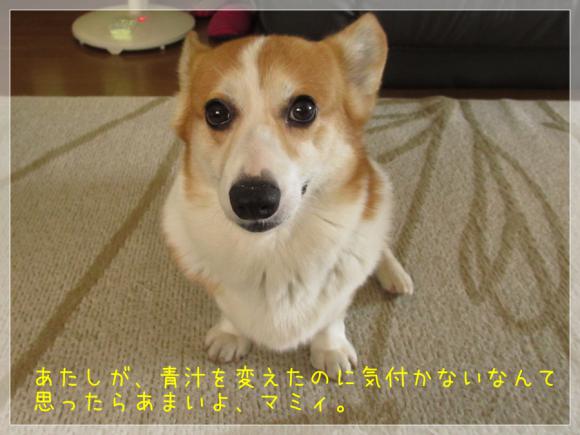 なめたらあかんで