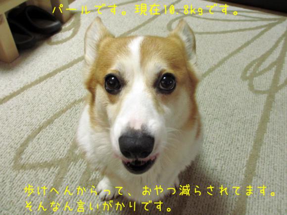 おやつ減らされて迷惑してます