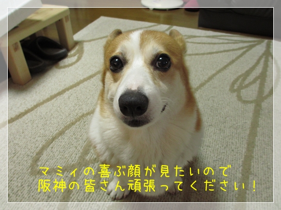阪神ガンバレ
