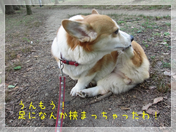 足になんか挟まっちゃったわ
