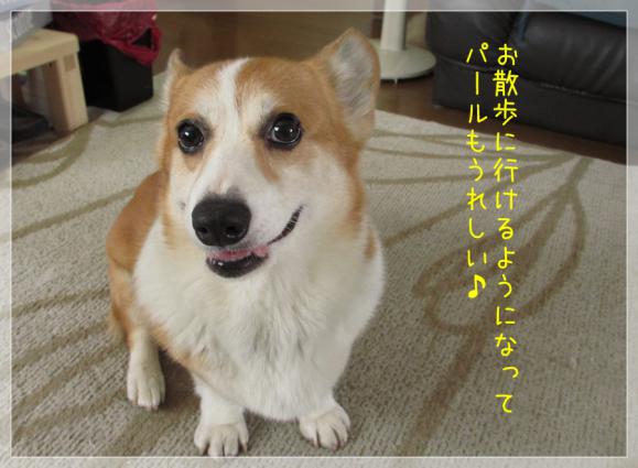 パールもうれしい!
