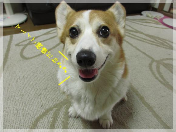 マミィご機嫌だね