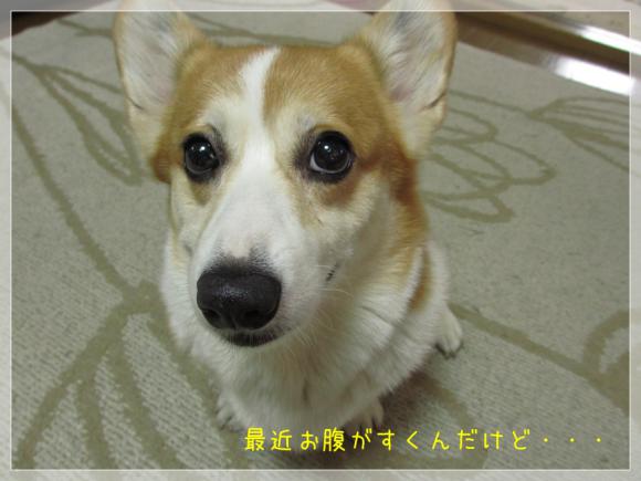 お腹がすくんですけど