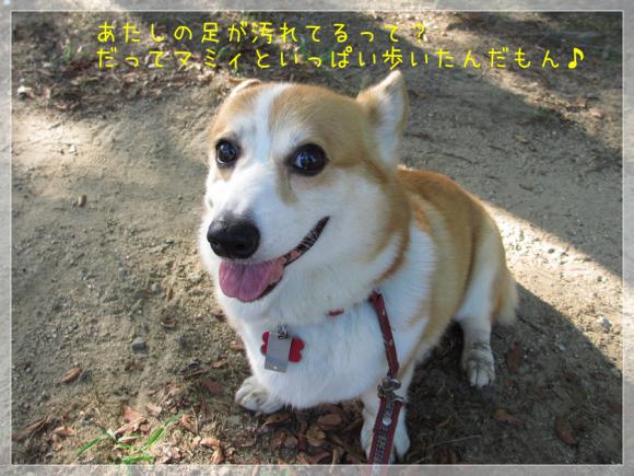 マミィといっぱい歩いたんだもん!