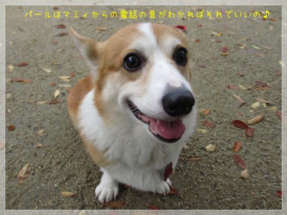 マミィからの帰るコールがわかればそれでいいの♪