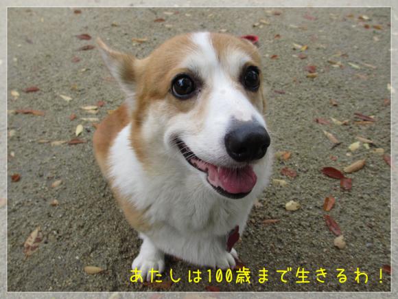 あたしは100歳まで生きるわ!
