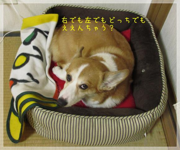 右でも左でもどっちでもええやん