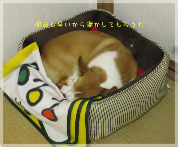 寝かしてもらうわ