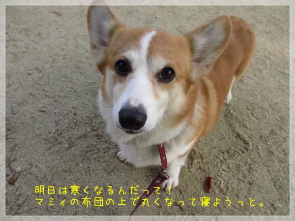 明日は寒いらしいよ