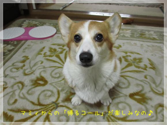 マミィからの帰るコールは聞き逃しません