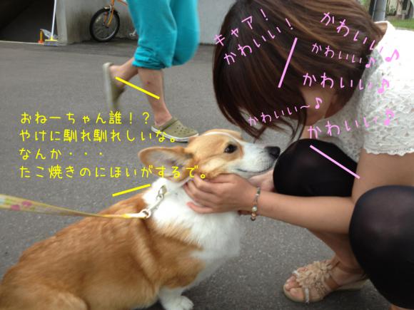 おねーちゃんだれ!?