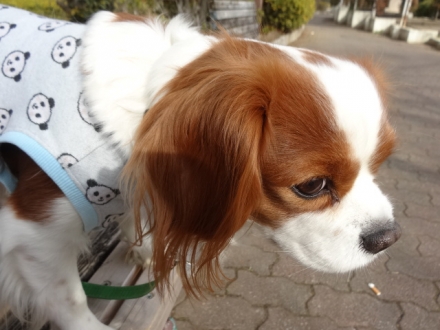 早く行きたいな
