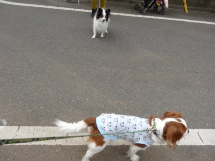 来るなぁ