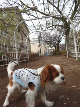 ドロドロだったぞー