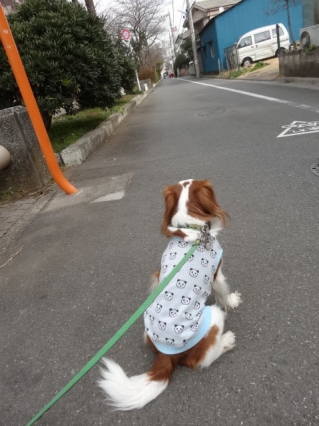 しつこいぞ