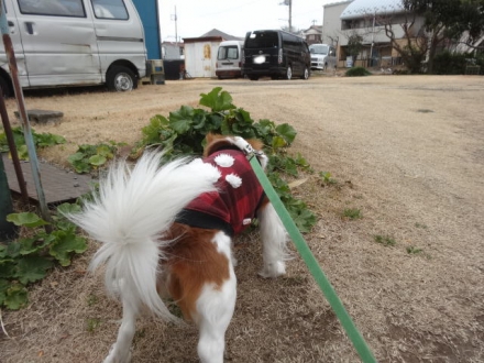 臭うぞー