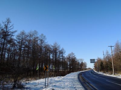 DSCN0558.jpg